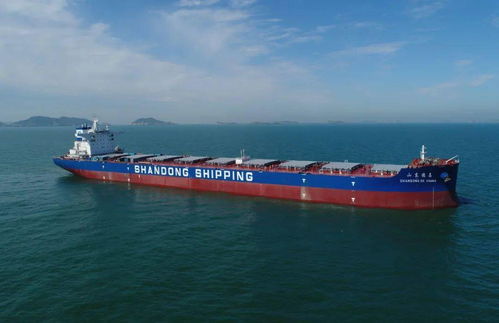 連續(xù)交付助力產(chǎn)業(yè)升級 集成電路設(shè)計賦能船舶制造新高潮